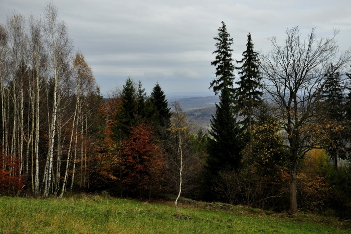 Pohled od Rudolfovy loučky k Janovu